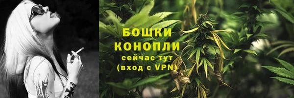 apvp Магадан