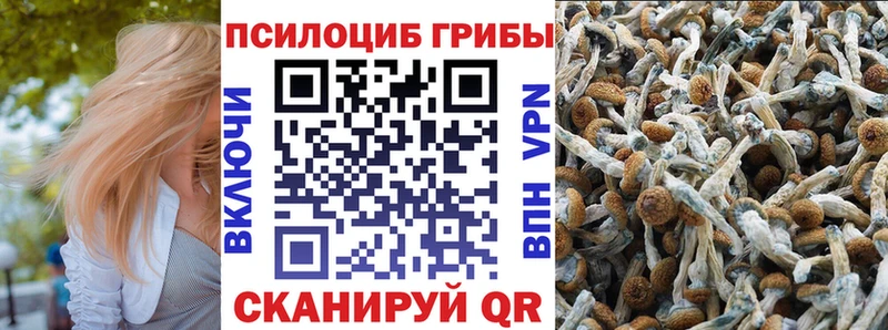 Псилоцибиновые грибы MAGIC MUSHROOMS Тутаев